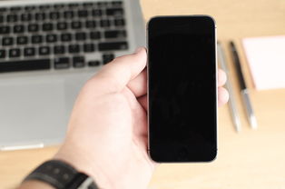 手机单机游戏破解版APP，探索与反思
