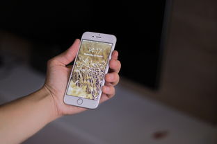实用指南如何在苹果设备上恢复被误删的主屏幕图标