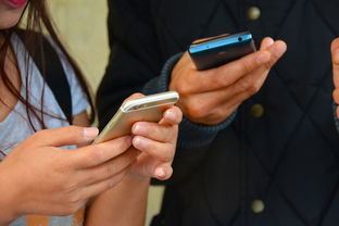iPhone用户必看，如何设置禁止安装应用，保护你的设备安全