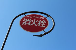 揭秘，2023年破解版游戏APP平台排行榜，玩家的天堂还是法律的禁区？