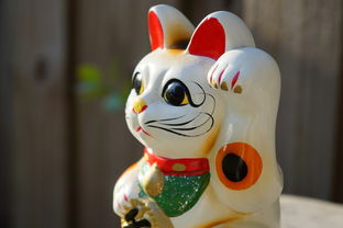 十二生肖趣解，揭秘中国传统文化中的动物象征